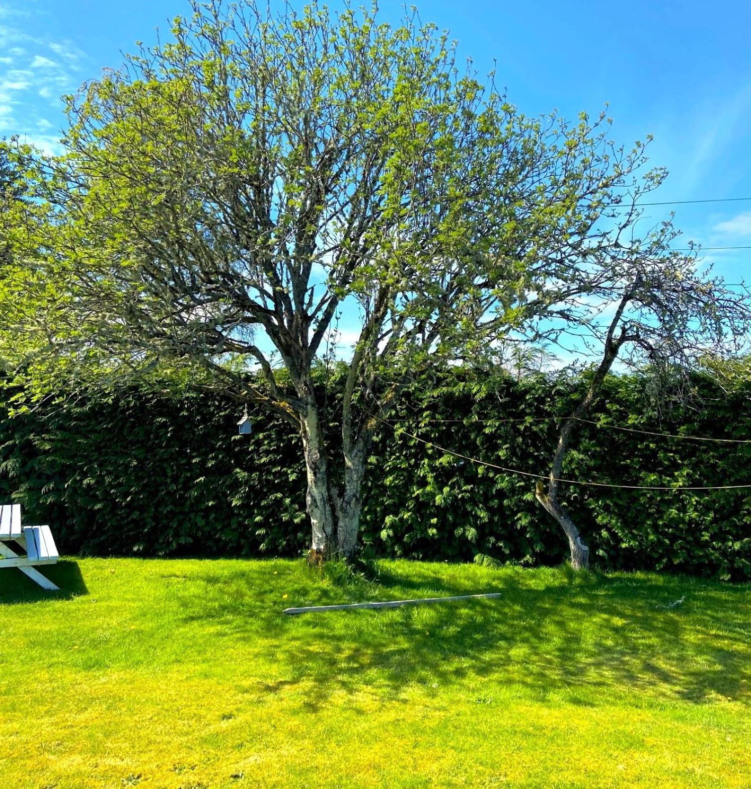26 Green Drive Inverness Inshes ภายนอก รูปภาพ